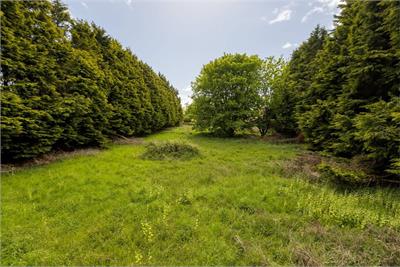 Speedwell Gardens, Dirleton - image 20