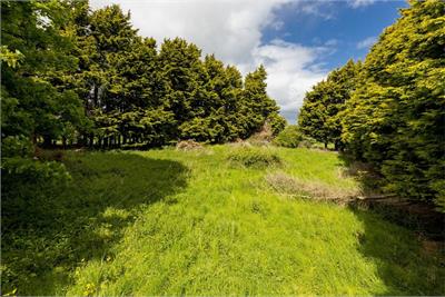 Speedwell Gardens, Dirleton - image 21