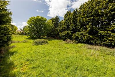 Speedwell Gardens, Dirleton - image 22