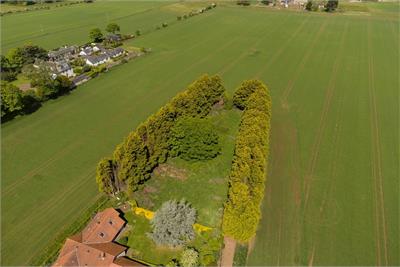 Speedwell Gardens, Dirleton - image 9