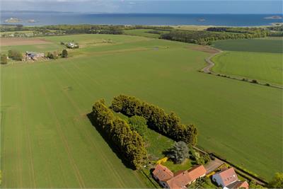 Speedwell Gardens, Dirleton - image 10