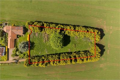 Speedwell Gardens, Dirleton - image 1