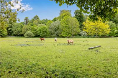 15 Brae Park Road, Cramond, Edinburgh, EH4 6DP - image 33