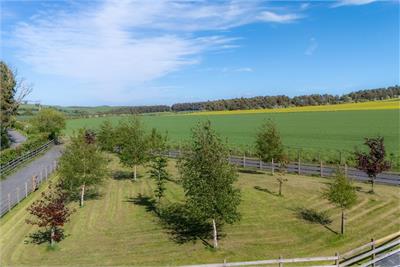 Pinnacle Burn Cottage, Pinnacle,
Ancrum,
Jedburgh,
TD8 6UP - image 28