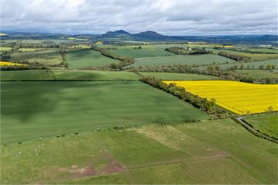 Pinnacle Burn Cottage, Pinnacle,
Ancrum,
Jedburgh,
TD8 6UP - image 34