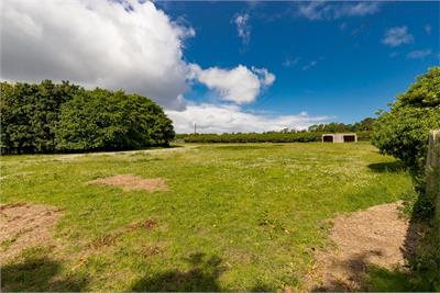 The Dower House, Backhill, Carberry, Musselburgh, EH21 8QD - image 35