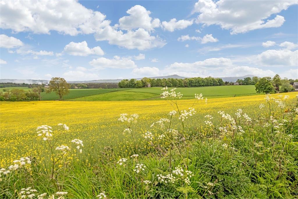 4 Nisbetfield Farm Cottage,
Ladybank,
Cupar,
KY15 7RL - image 17