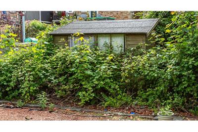 22 St Andrew Street, Galashiels, TD1 1EA - image 20