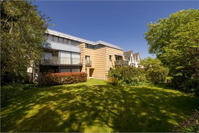 8/6 Dovecot Road, EDINBURGH, EH12 7LE - image 34