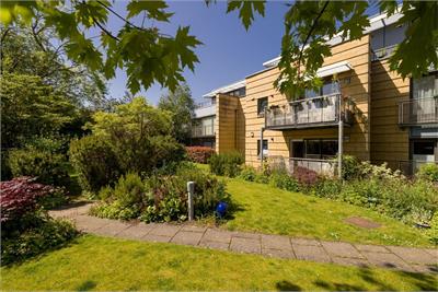 8/6 Dovecot Road, EDINBURGH, EH12 7LE - image 37