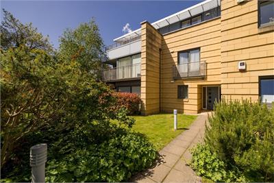 8/6 Dovecot Road, EDINBURGH, EH12 7LE - image 39