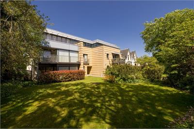 8/6 Dovecot Road, EDINBURGH, EH12 7LE - image 40