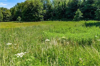 Plot South West of Glebe Cottage, Teviot Rd, Roxburgh, Kelso TD5 8NE - image 13