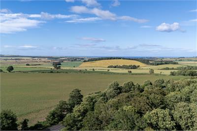 Edington Fox Covert,
Chirnside,
TD11 3LE - image 36