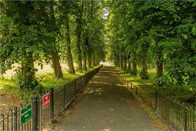 103/8 Harrison Road, Edinburgh, EH11 1LT - image 22