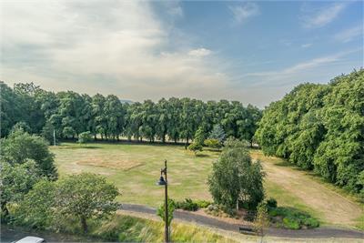 103/8 Harrison Road, Edinburgh, EH11 1LT - image 6