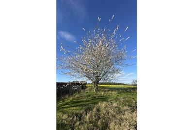Townhead Steading, East Saltoun, EH34 5EB - image 16