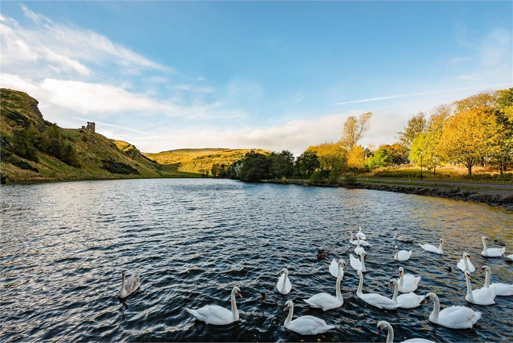 18 2F2 Parsons Green Terrace, Edinburgh, EH8 7AG - image 24