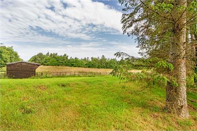 Drummaw, Romanno Bridge EH46 7BZ - image 15