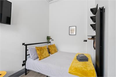 13 West Newington Place, Edinburgh, EH9 1QU - image 7