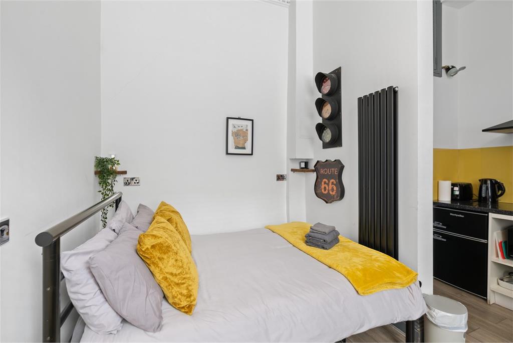 13 West Newington Place,
Edinburgh,
EH9 1QU - image 8