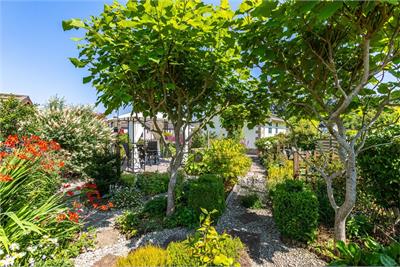 1 Sycamore Street, Springwood Village, Kelso, TD5 8NH - image 3