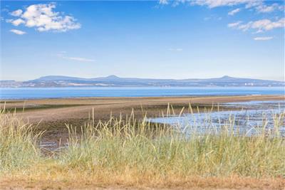 26C, Links Street, Musselburgh, EH21 6JL - image 26