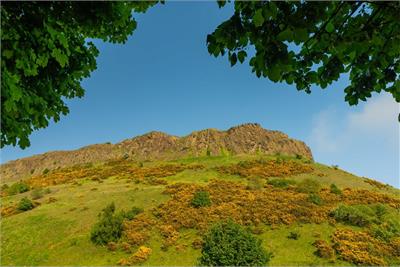 23 1F1 Royal Park Terrace, Edinburgh, EH8 8JB - image 19