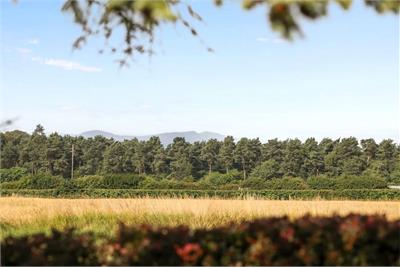 15 Boggs Holdings, Pencaitland, EH34 5BD - image 29