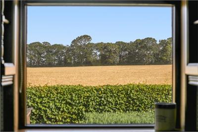 15 Boggs Holdings, Pencaitland, EH34 5BD - image 6
