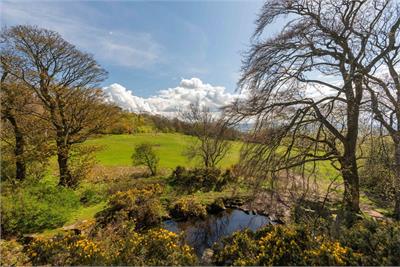 3 Drum Brae Drive, Edinburgh, EH4 7BY - image 20