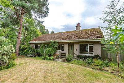 16 Woodlands Park, Coldstream, TD12 4LL - image 1