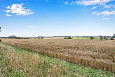 50 Monkmains Road, Haddington, EH41 4NA - image 26