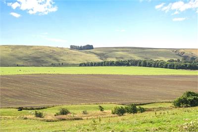 4 South Middleton Cottages, Gorebridge, Midlothian, EH23 4RF - image 21