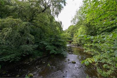 49/2 West Mill Road, Edinburgh, EH13 0NZ - image 29