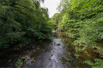 49/2 West Mill Road, Edinburgh, EH13 0NZ - image 6
