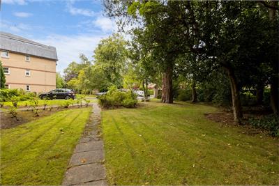 1/2 Wyvern Park, Edinburgh, EH9 2JY - image 12
