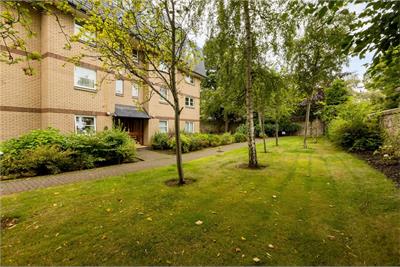 1/2 Wyvern Park, Edinburgh, EH9 2JY - image 14