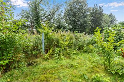 294 Colinton Mains Road, Edinburgh, EH13 9BS - image 14