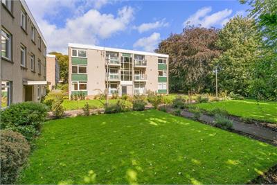 25/9 Mortonhall Road, Edinburgh, EH9 2HS - image 21