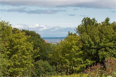 3 The Doon Steading, Spott, EH42 1UX - image 40