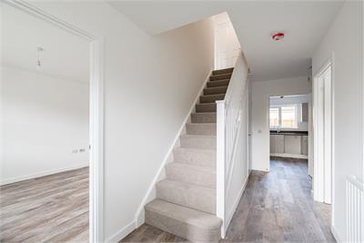 113 Shearer Place, East Calder, EH53 0WW - image 15