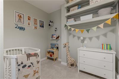 87 Harrison Road, Edinburgh, EH11 1LS - image 13