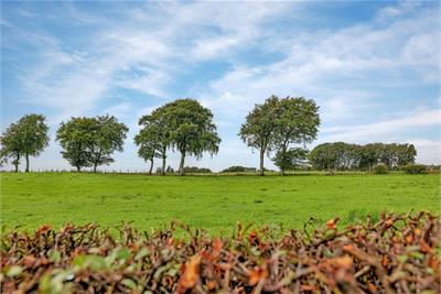 25 Brechame Road, Chapelton, Strathaven, ML10 6SP - image 30
