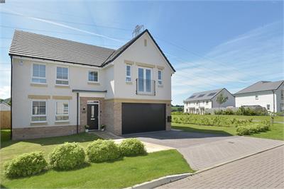 12 Wilkinson Drive, , Edinburgh, EH17 8HQ - image 2