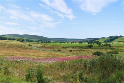Plot of Land Burnside, , New Cumnock, KA18 4QL - image 5