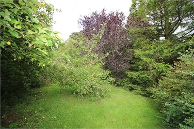 The Woodlands, Hightae, Lockerbie, DG11 1JY - image 19
