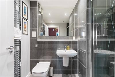 Flat 10, 48 Annandale Street, Edinburgh, EH7 4FA - image 19