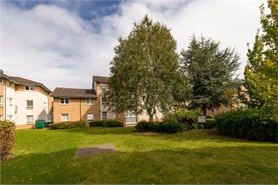 53/1 Stenhouse Gardens, Edinburgh, EH11 3LS - image 20