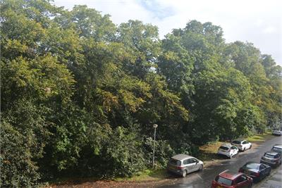 Flat 1, 9 Devonshire Terrace, Hyndland, Glasgow, G12 0XF - image 15